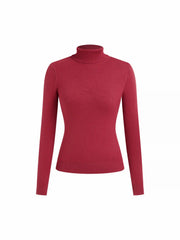 Fleece-lined Knit Solid Turtleneck Long Sleeve Top