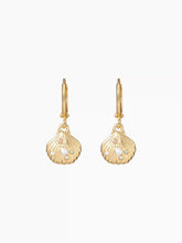 FAUX PEARL & RHINESTONE DECOR SHELL DROP HOOP EARRINGS