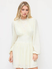 Velvet High Neck Lantern Long Sleeve Contrasting Lace Cinched Waist Mini Dress