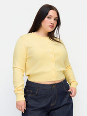 Knit Round Neckline Button Cardigan Curve & Plus