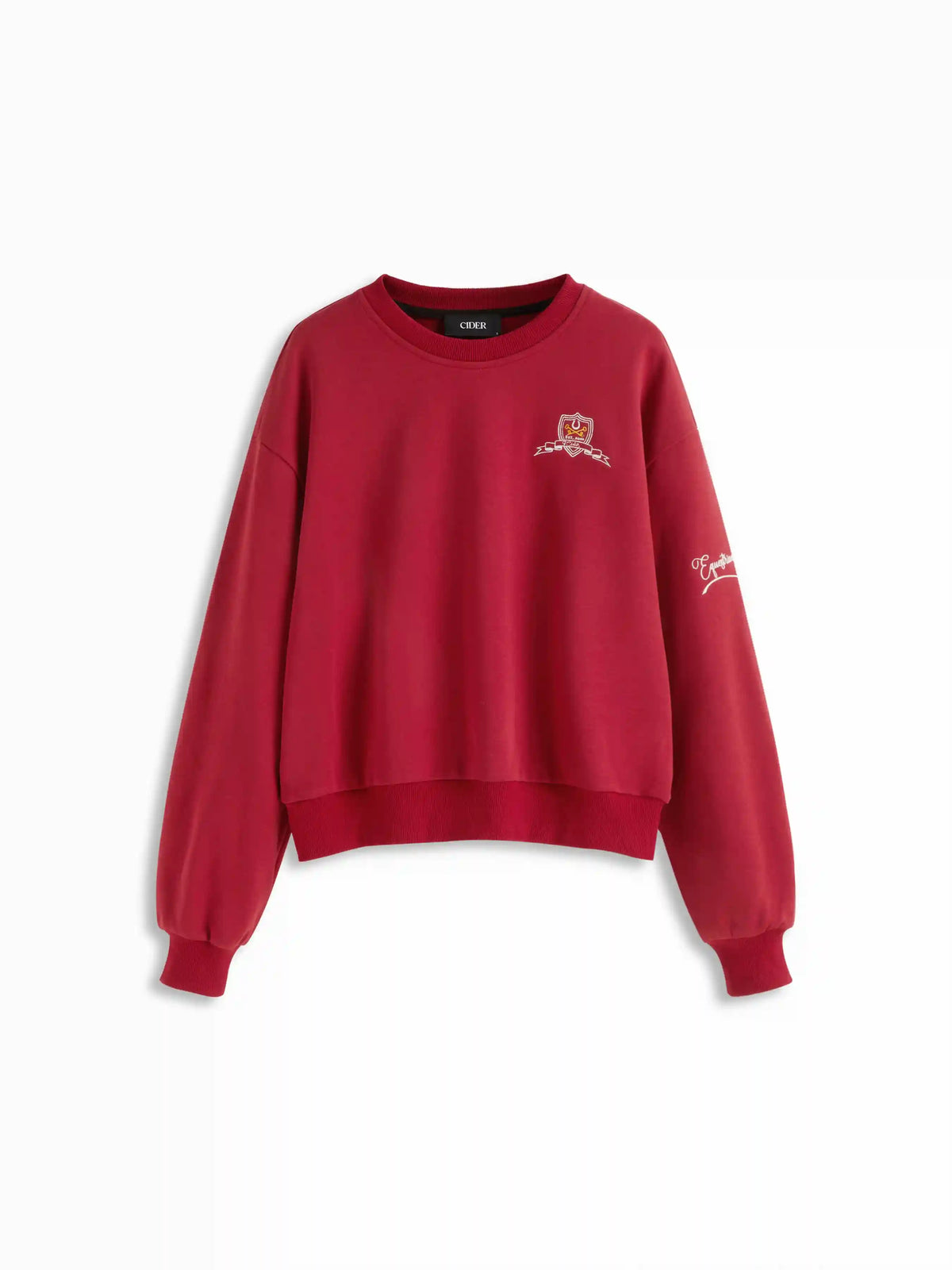 Terry Embroidery Round Neckline Long Sleeve Oversized Sweatshirt