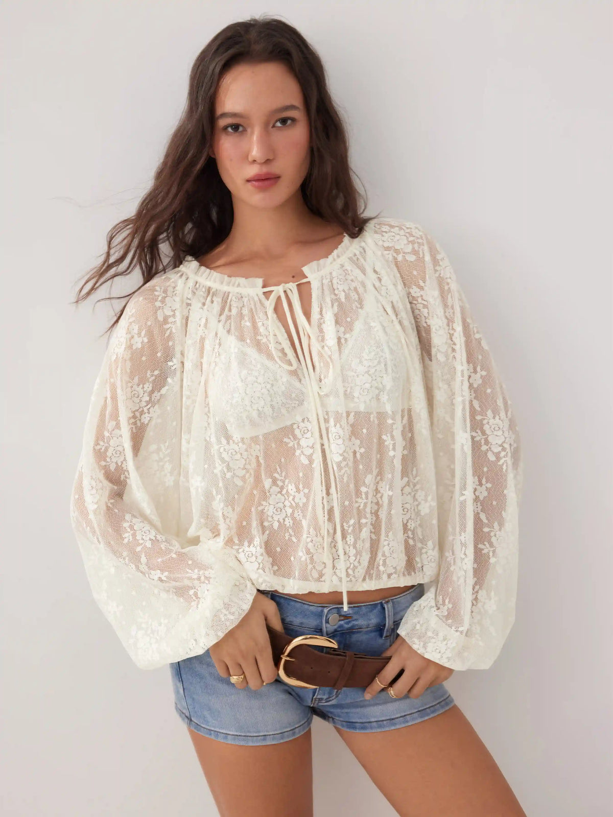 Lace Floral V-neck Ruffled Lantern Sleeve See-Through Blouse