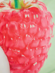 Mesh Raspberry Graphic Strapless Bandeau Top