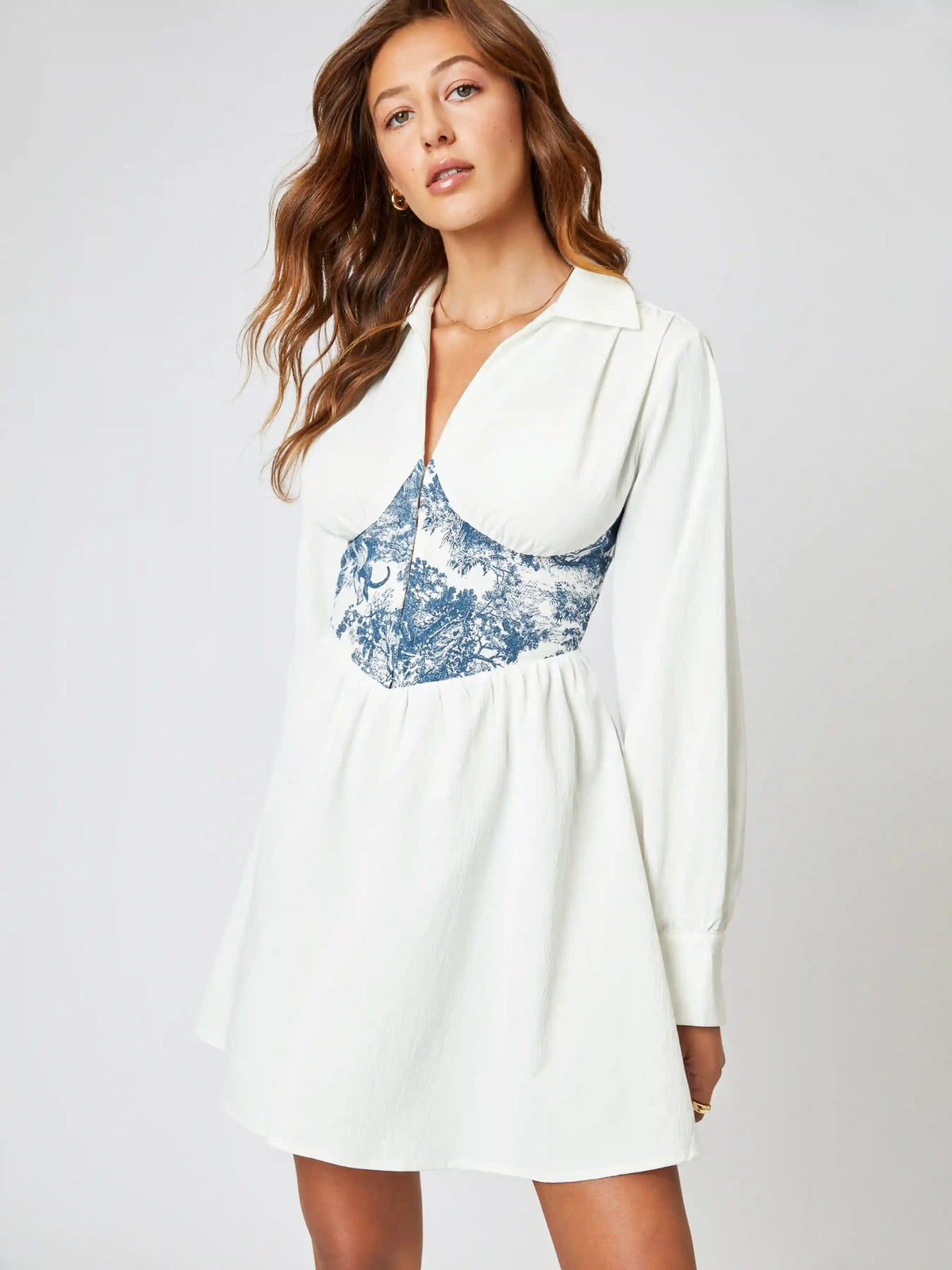 Toile de Jouy Patchy Shirt Dress
